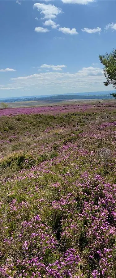 Floyter House North Yorkshire Moors National Park Bed and Breakfast Danby Ηνωμένο Βασίλειο