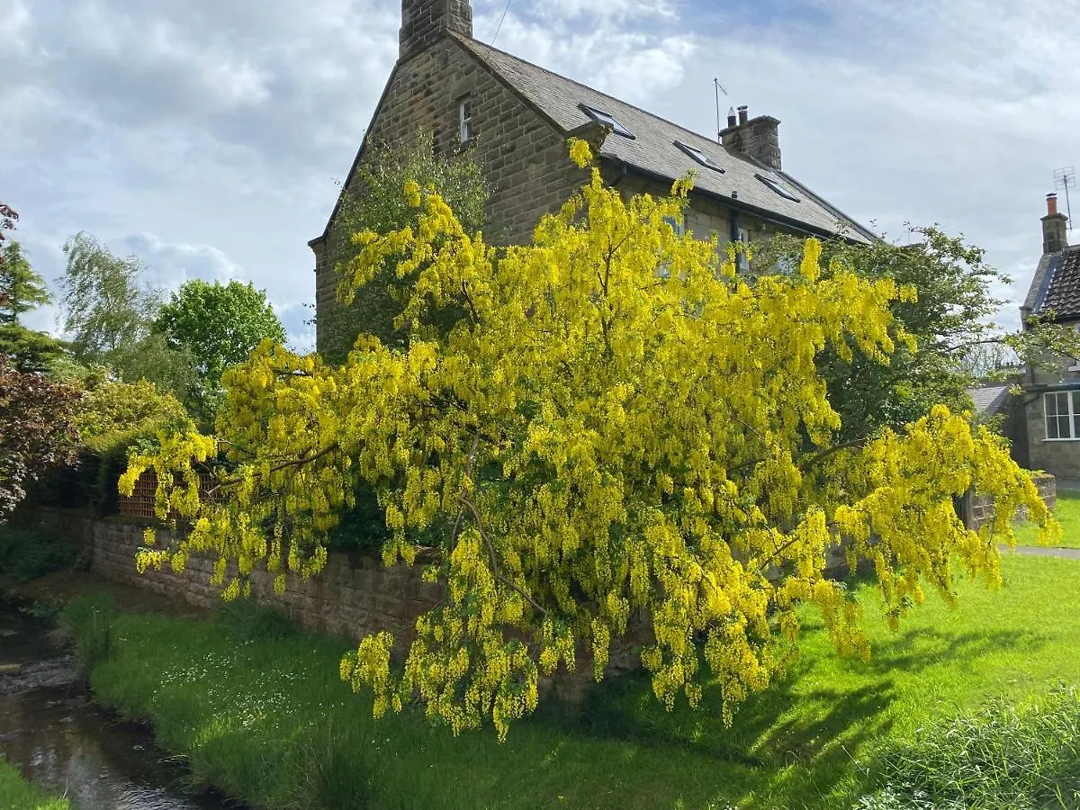 丹比Floyter House North Yorkshire Moors National Park住宿加早餐旅馆 0*, 丹比